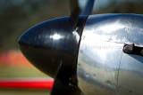 F05F4230.jpg