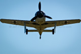 F05F5786.jpg