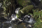 Falls in the Catlins