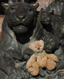 Little Bear visits the Lion family