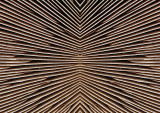 Fungi-Gills-Konfabulation