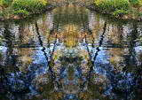 Stream Reflections Konfabulation