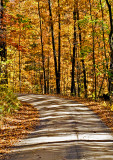 Autumn-Road