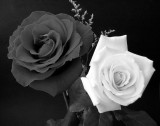 pb05-04-03-46a.jpg