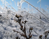pb02-23-04-12a.jpg