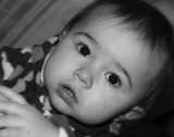 pb12-12-10-01a.jpg