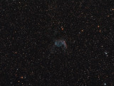 NGC2359.jpg