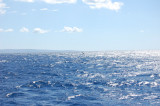 DSC_1039.JPG