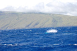 DSC_1057.JPG