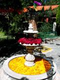 fountain with cockscomb y marigold