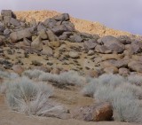 Bishop and Buttermilk Boulders/hills March 18 2012