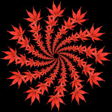 Decorative red autumn leaf