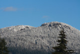 Light dusting on the bust line of Duncan