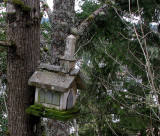 A Church for the Birds