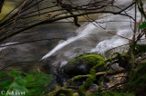 Rushing Water