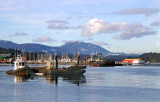 Ladysmith Harbour