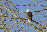 Valley Resident