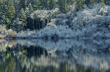 Reflections Lake Cowichan
