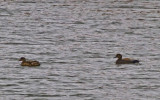 e6756.jpg
