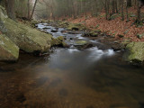 wHunting Creek4 1-13-08 P1138349.jpg