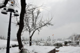 Murree Hills