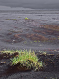 B005095.jpg