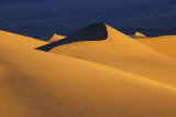 Death Valley Dune 1