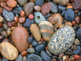 Nature Polished Stones