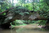 Rock Bridge