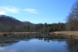 Peaceful Pond