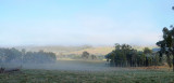 Mist moving down the valley