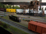 IMG_1773.jpg