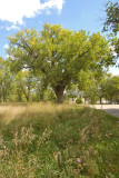 _DSC0033.jpg