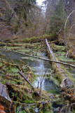 _DSC0391.jpg