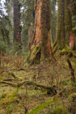 _DSC0406.jpg