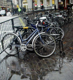 Wet Bicycle Seats