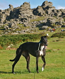 Peggy at Hound Tor PICT1181 C.jpg