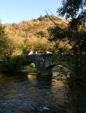 Fingle Bridge