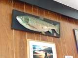 Merkister Hotel, Orkney