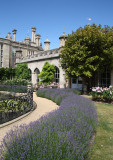 Lavender, Burghley House