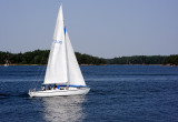 _DSC8731.jpg