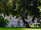 _DSC9298.jpg
