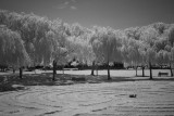 DSCF0263.jpg