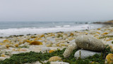 _DSC0493.jpg