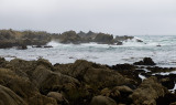 _DSC0571.jpg