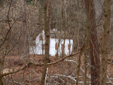 Lockhouse 37 through the trees