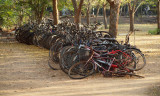Dumped bicycles