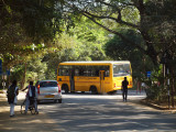 The IIT bus turns into the hostel road