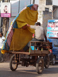 Trip to India - 2012