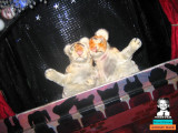 twinkling twins twirl tantalizing treats totalleeeeeeee...